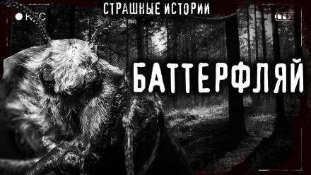 Аудиокнига Баттерфляй - Итан Нэлоу