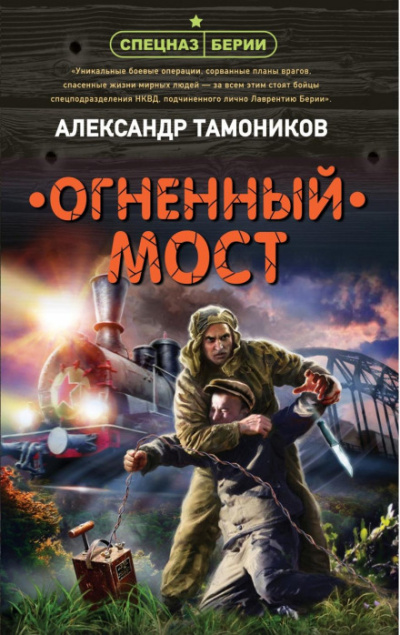 Аудиокнига Огненный мост - Александр Тамоников