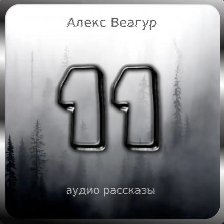 Аудиокнига 11 - Алекс Веагур