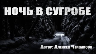 Аудиокнига Ночь в сугробе - Алексей Черемисов