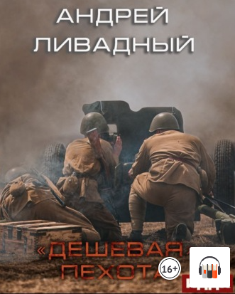 Аудиокнига Дешевая пехота - Андрей Ливадный