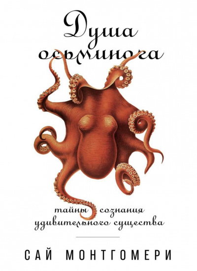 Аудиокнига Душа осьминога: Тайны сознания удивительного существа - Сай Монтгомери