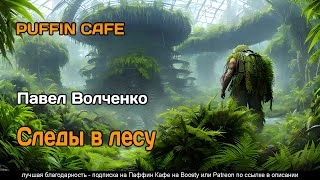 Аудиокнига Следы в лесу - Павел Волченко »
