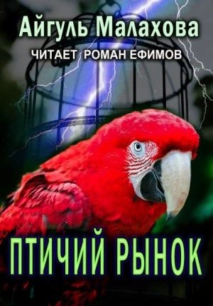 Аудиокнига Птичий рынок - Айгуль Малахова