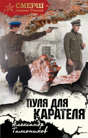 Пуля для карателя - Александр Тамоников
