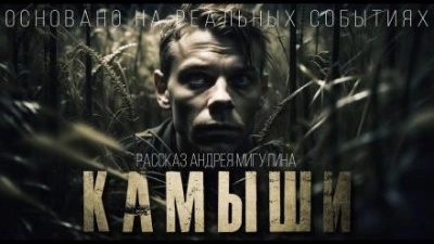 Аудиокнига Камыши - Андрей Мигулин
