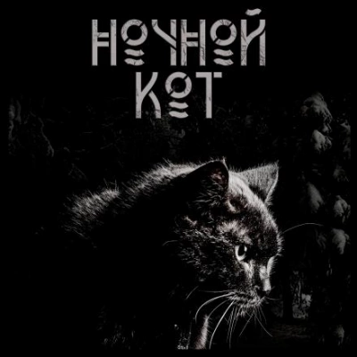 Аудиокнига Ночной кот - Сергей Стэн