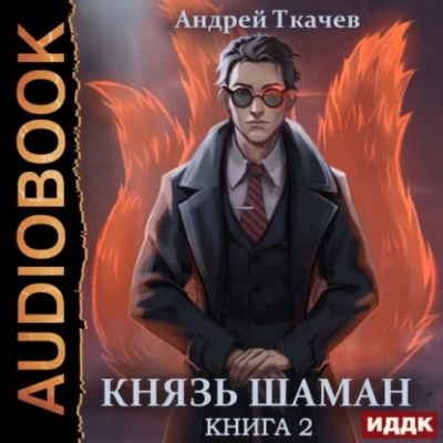Аудиокнига Князь шаман. Книга 2 - Андрей Ткачев