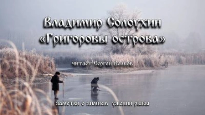 Григоровы острова (Заметки о зимнем ужении рыбы) - Владимир Солоухин