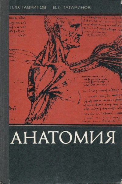 Анатомия - Леопольд Гаврилов