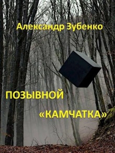 Позывной «Камчатка - Александр Зубенко