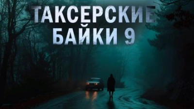 Аудиокнига Странники в пути - Евгений Шиков, Герман Шендеров