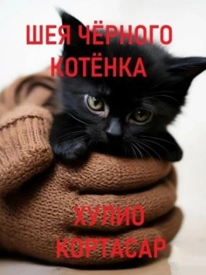 Шея чёрного котёнка - Хулио Кортасар