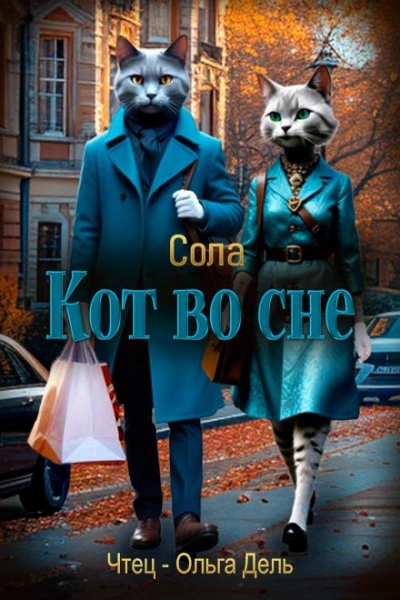 Аудиокнига Кот во сне - Сола