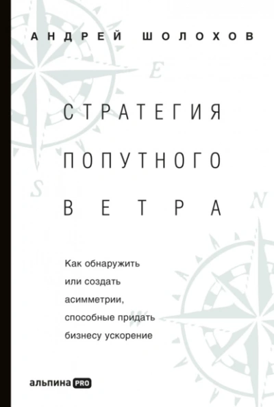 Стратегия попутного ветра. Как обнаружить или создать асимметрии, способные придать бизнесу ускорение - Андрей Шолохов