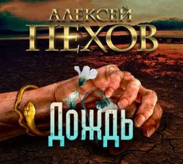 Аудиокнига Дождь - Пехов Алексей