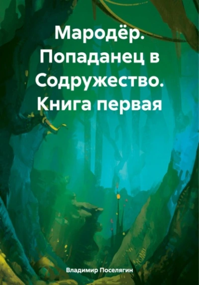 Попаданец в Содружество - Владимир Поселягин