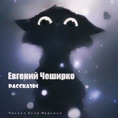 Аудиокнига Рассказы - Евгений ЧеширКо