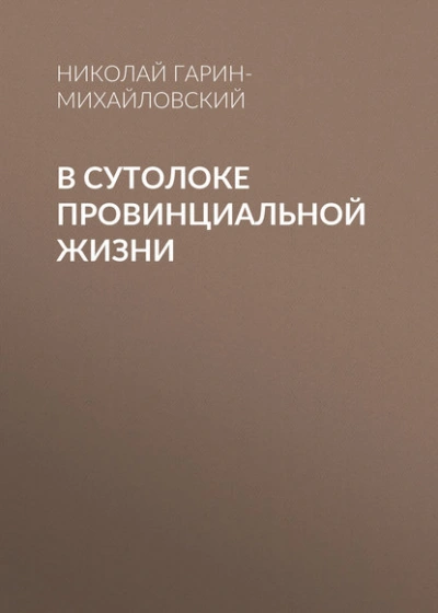 В сутолоке провинциальной жизни - Николай Гарин-Михайловский