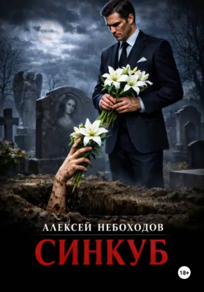 Синкуб - Алексей Небоходов
